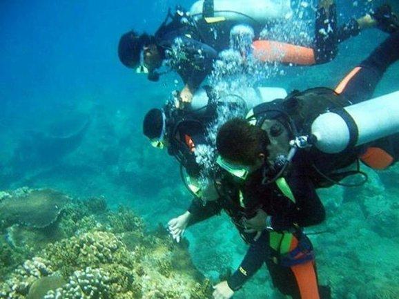 深度融合旅游业，九三食品公司实现经营、品牌双提升